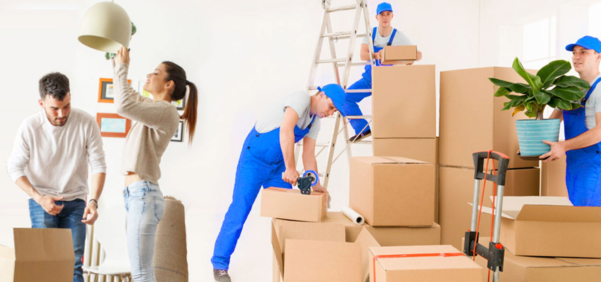 Top 10 Best Packers & Movers in Hyderabad - ProfessNow Blog